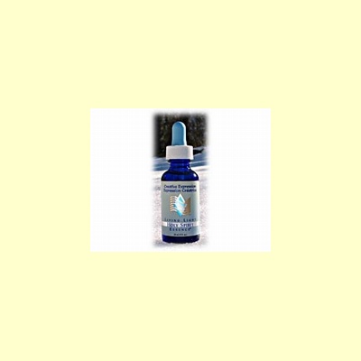 living_light_edelsteenremedie_holy_spirit