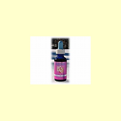 living_light_edelsteenremedie_rose_quartz