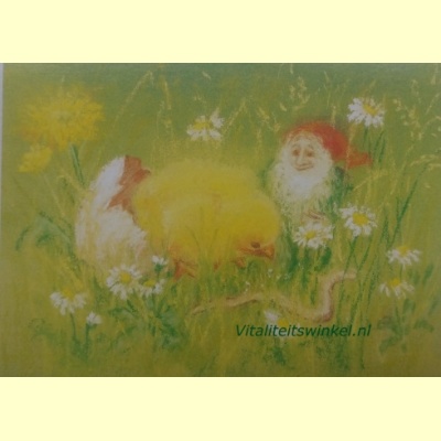 mz-410-lentekuiken-kaart_marjan_van_zeyl
