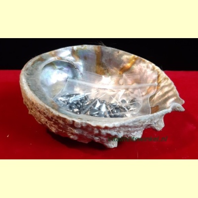 ontlaadschelp-2