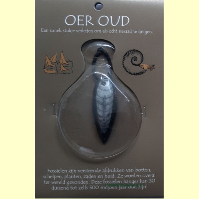 orthoceras