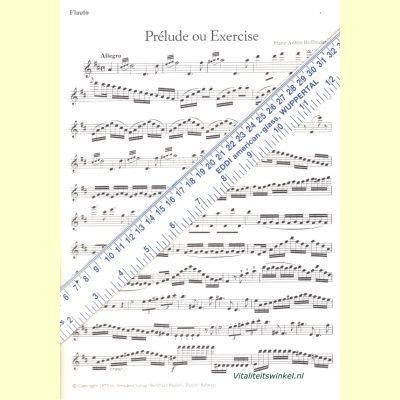 prelude_op_35-3
