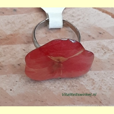 ring_met_viooltje_01-c