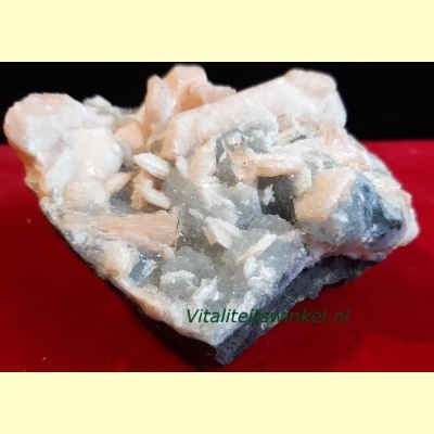 stilbiet_brok_r63-02