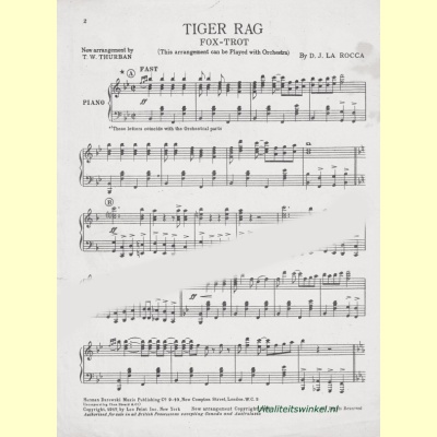 tiger_rag-2