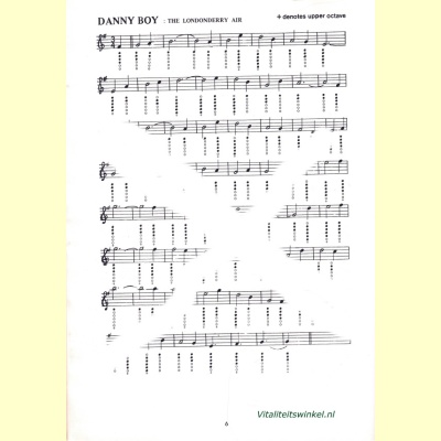 tin_whistle-4