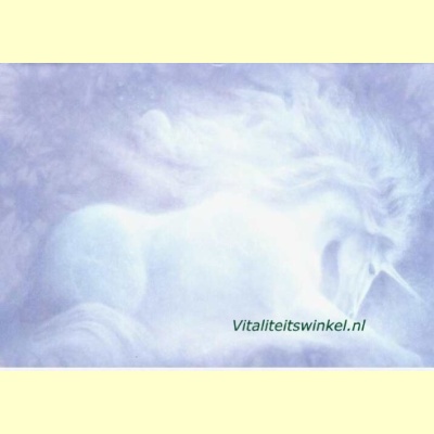 unicorn_kingdom-55022-2