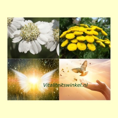 universele_vrijheid