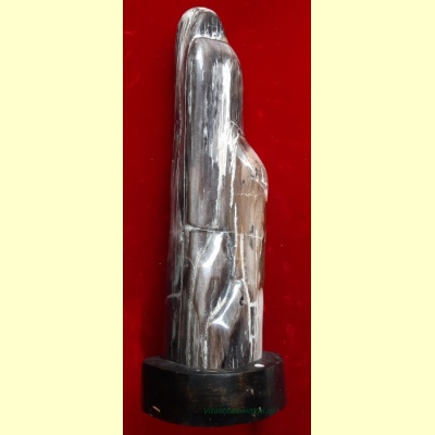 versteend_hout_maria-02
