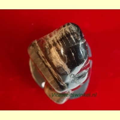 versteend_hout_maria-04
