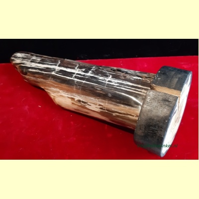 versteend_hout_maria-05