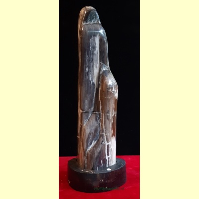 versteend_hout_maria-06