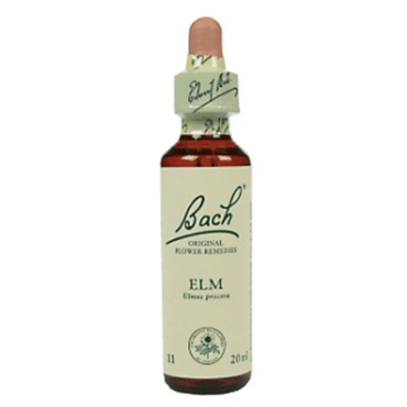 Bachremedie Elm Elm
