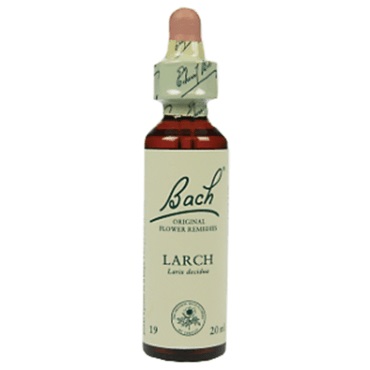 Bachremedie Larch Larch
