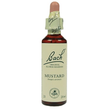 Bachremedie Mustard Mustard