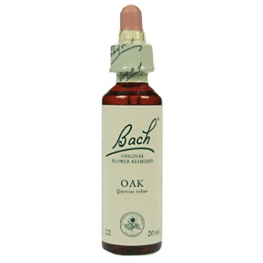 Bachremedie Oak Oak