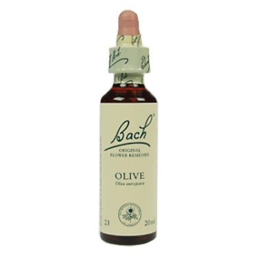 Bachremedie Olive Olive