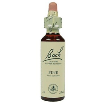 Bachremedie Pine Pine