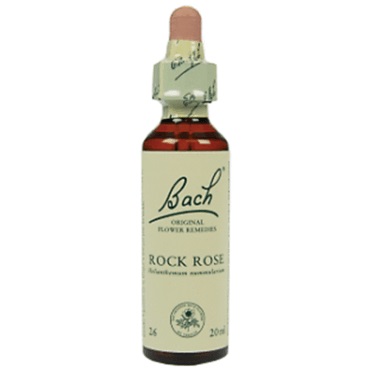Bachremedie Rock Rose Rock Rose