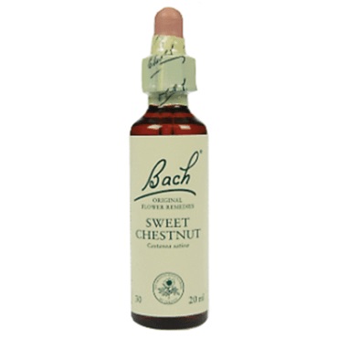 Bachremedie Sweet Chestnut Sweet Chestnut