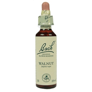 Bachremedie Walnut Walnut