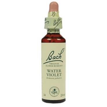 Bachremedie Water Violet Water Violet
