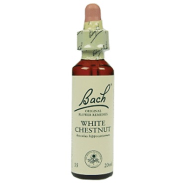 Bachremedie White Chestnut White Chestnut