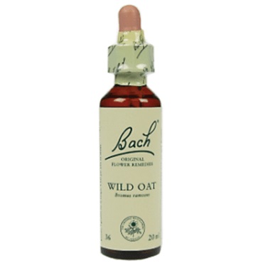 Bachremedie Wild Oat Wild Oat