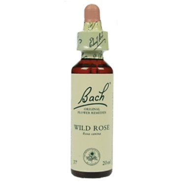 Bachremedie Wild Rose Wild Rose