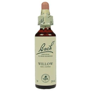 Bachremedie Willow Willow