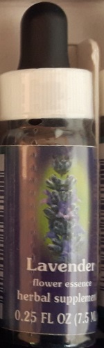 Californische Bloesem Remedie LAVENDER Lavandula officinalis (violet). (Lavendel)