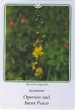 Bachremedie Agrimony Aspen