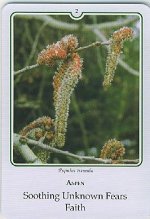 Bachremedie Aspen Aspen