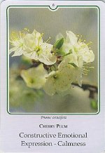 Bachremedie Cherry Plum Cherry Plum