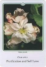 Bachremedie Crab Apple Crab Apple