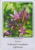 Bachremedie Gentian / Gentiaan Gentiaan