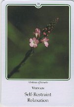 Bachremedie Vervain /Verbena of IJzerhart IJzerhart